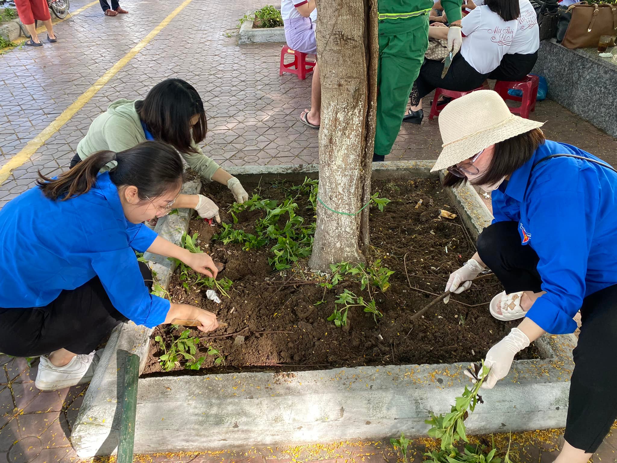 379298537 3429253620650184 6950722878200690214 n